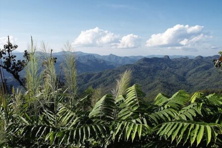 Duurzaam reizen door Thailand: praktische tips voor elke reiziger